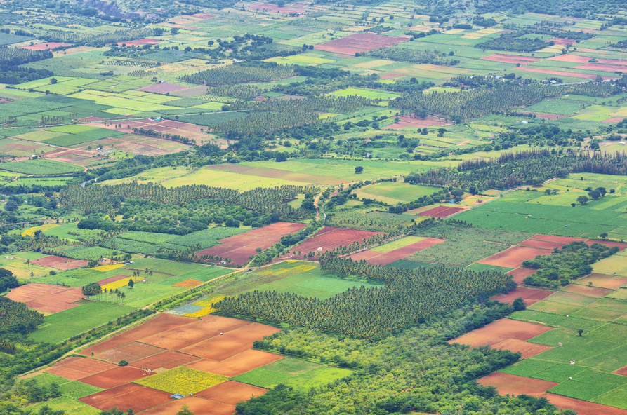 Ghana Land Title Verification Process (2026 Guide)