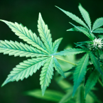 Accra International Airport Name Change | Ghana Removes Kotoka Name (2026)