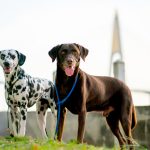 Moving from Ghana to the United Kingdom (2026 Step by Step Guide)