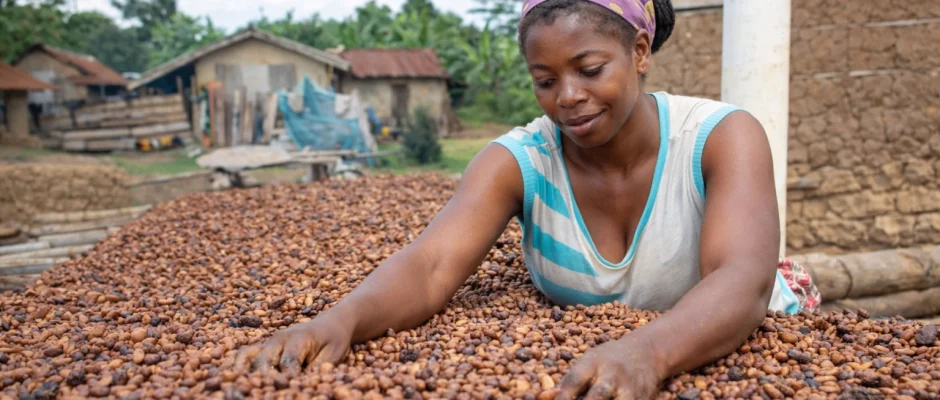 Women working in Ghana cocoa farming industry