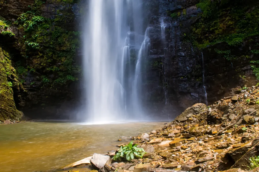Hiking to upper Wli Waterfalls Ghana forest