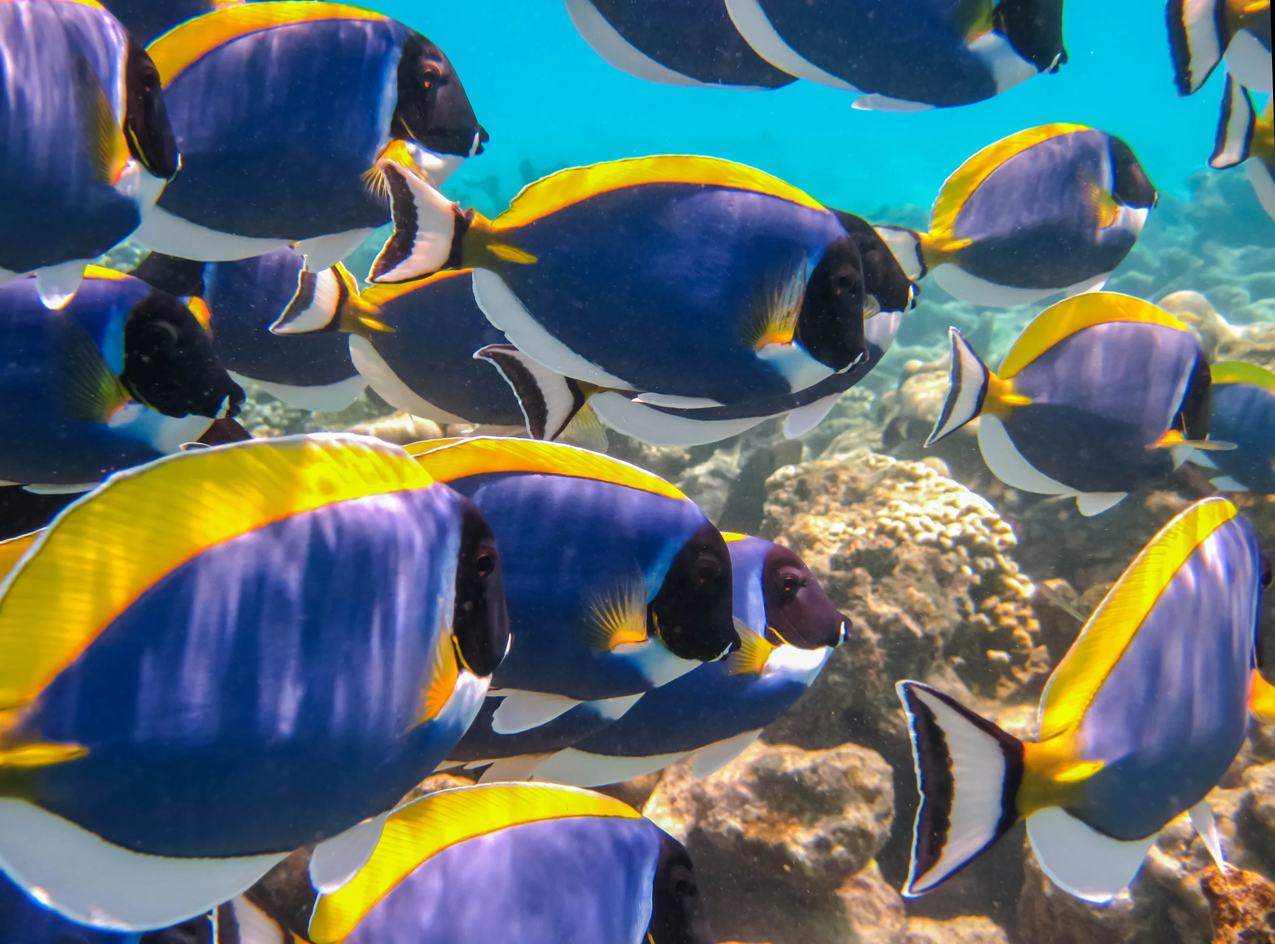 Ghana’s First Marine Protected Area: What the Greater Cape Three Points MPA Means for the Country