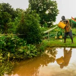 Ewoyaa Lithium Project Ghana: Mining Lease, Investors, and What It Means