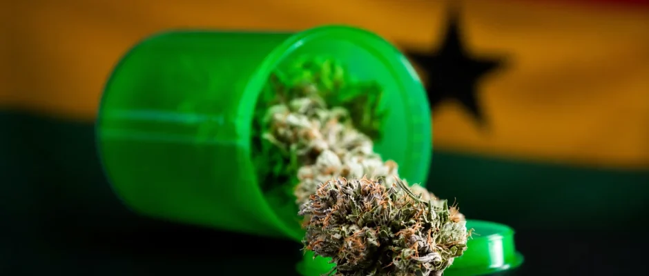 Ghana cannabis cultivation licences explained, including first companies, THC limit, rules and why recreational cannabis remains illegal.