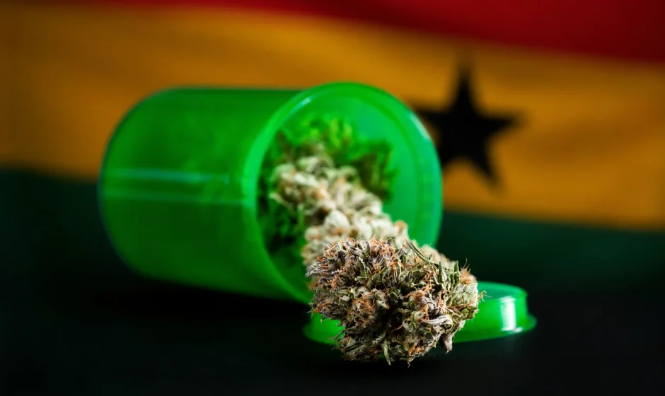 Ghana cannabis cultivation licences explained, including first companies, THC limit, rules and why recreational cannabis remains illegal.
