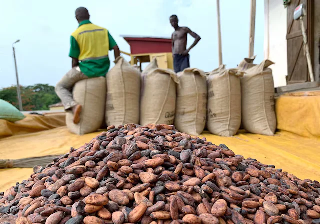 Cocoa production in Ghana