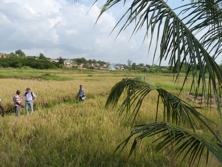 Ashanti Region