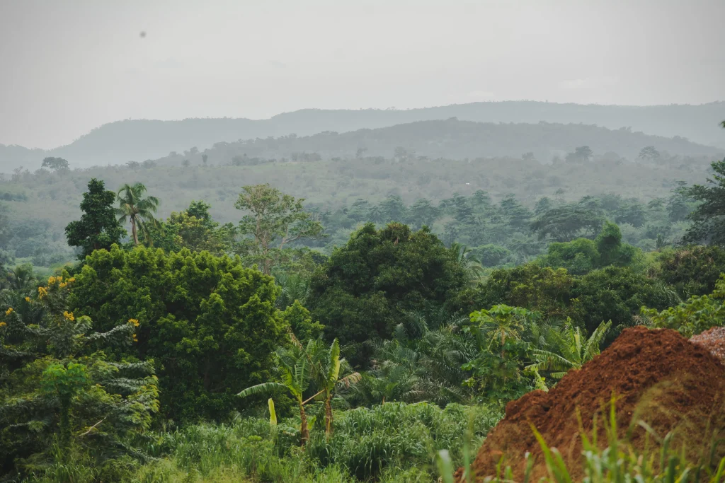 This is a file of Ghanaian Natural Heritage with ID: