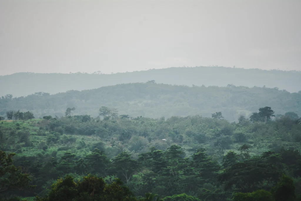 This is a file of Ghanaian Natural Heritage with ID: