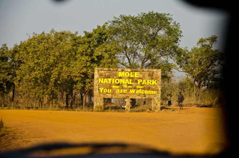 Mole National Park