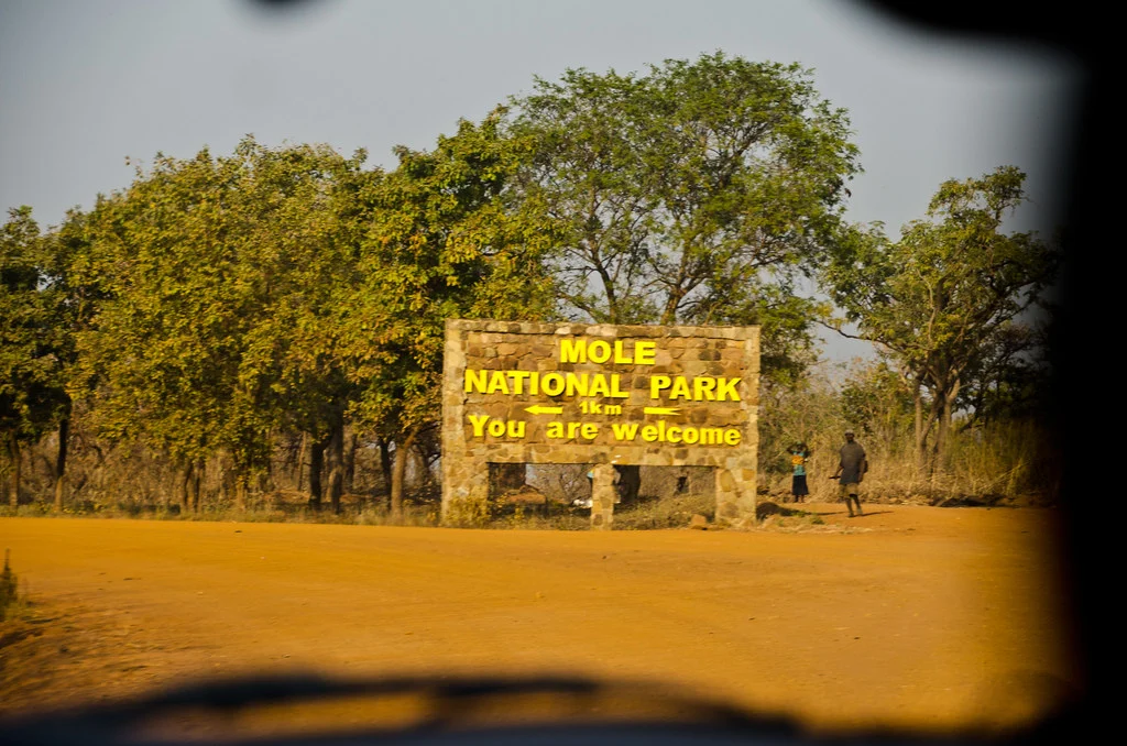 Mole National Park