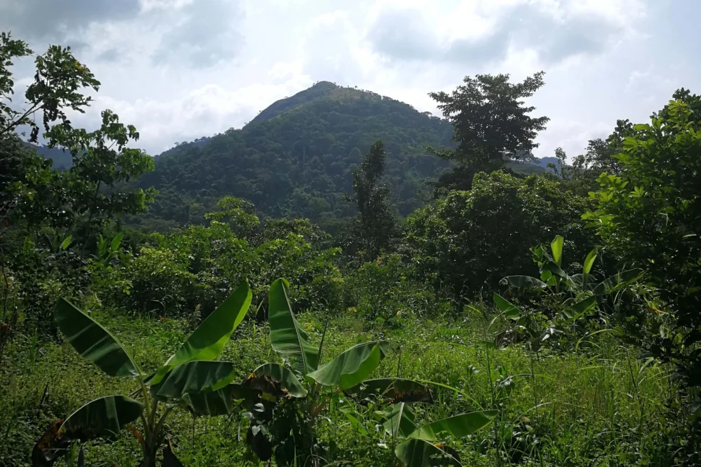 Mount Afadja – Ancestral Tours