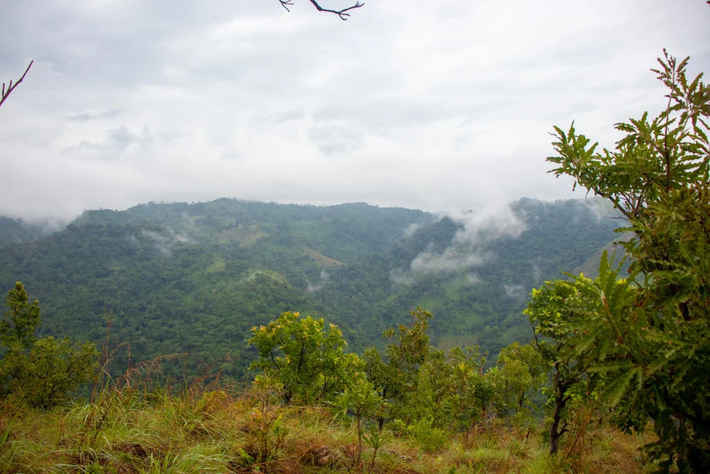 Beautiful Landscape view on the Afadjato Mountain with vegetation